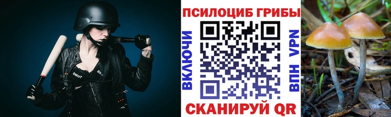 Псилоцибиновые грибы прущие грибы  Купить закладки  Дубовка 